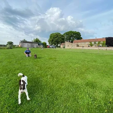 Riccal Dale Holiday home