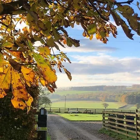 Holiday home Riccal Dale