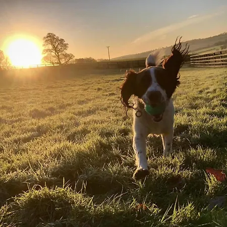 Riccal Dale Σπίτι διακοπών Helmsley