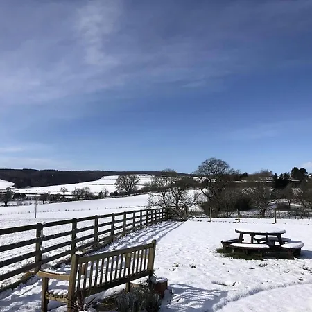 Prázdninový dům Riccal Dale Helmsley