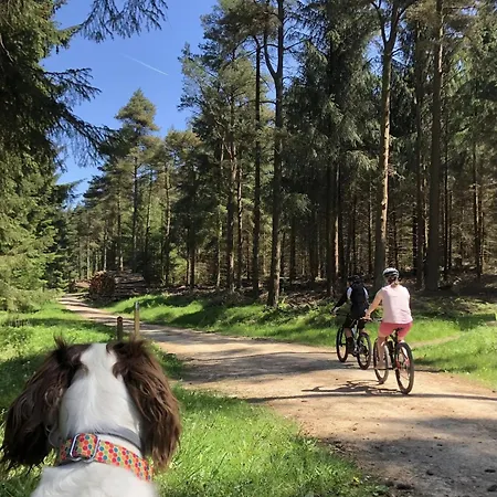 Σπίτι διακοπών Riccal Dale