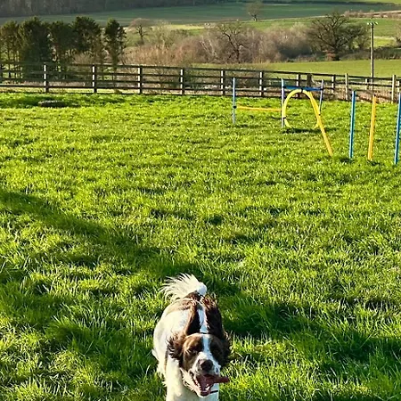 Casa de Férias Riccal Dale Helmsley