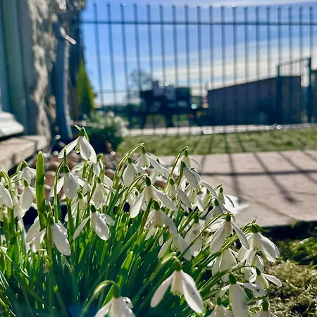 Riccal Dale Casa de Férias