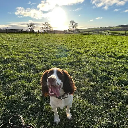 Riccal Dale Casa de Férias *