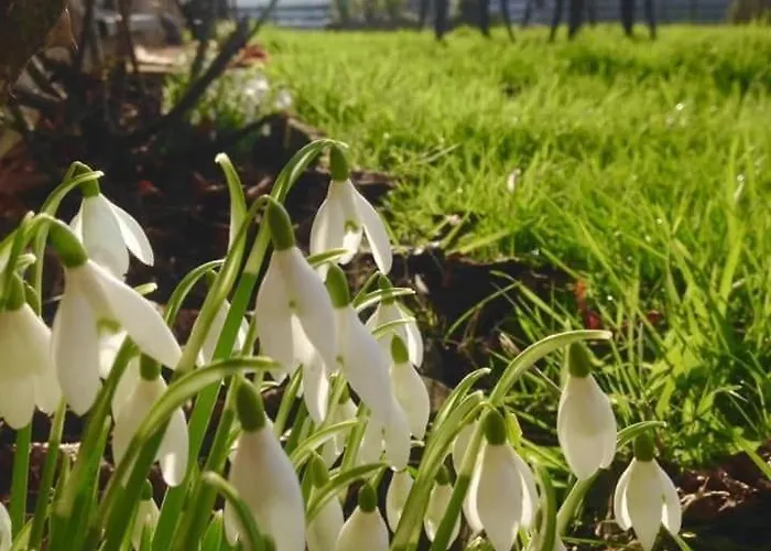 Casa de Férias Riccal Dale *