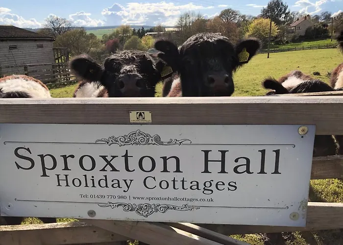 Casa de Férias Riccal Dale *